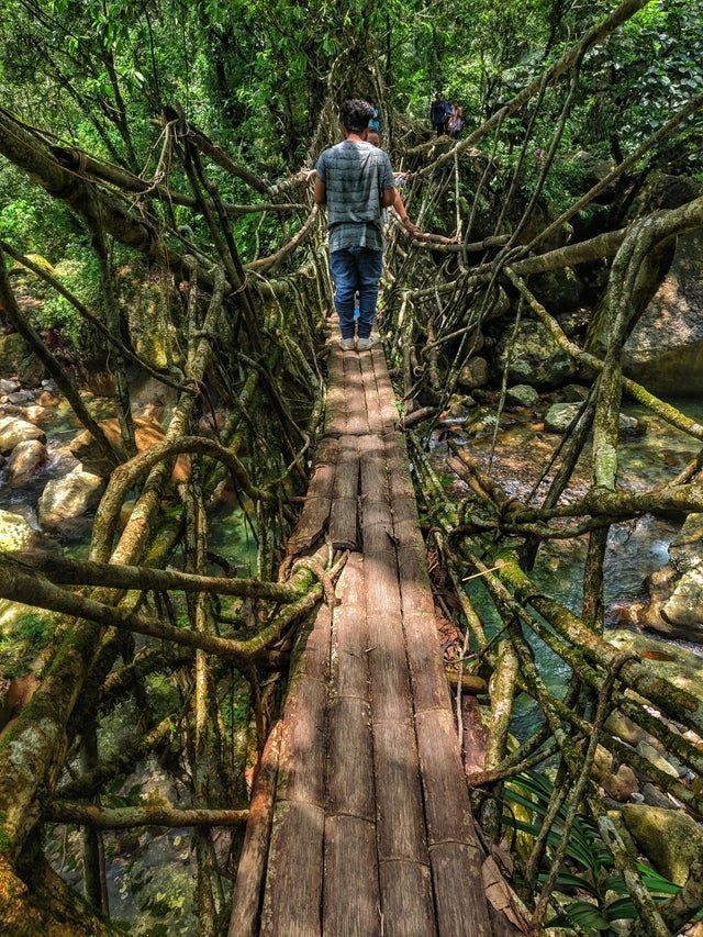 Meghalaya’s Living Root Bridges Trek